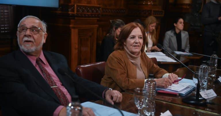 Sorpresivamente el kirchnerismo ahora pisa el freno con la ley de DNU que limita el poder de Milei