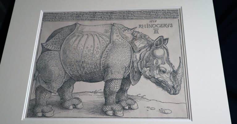 Encuentran en Praga un original olvidado del ‘rinoceronte’ impreso por Durero en 1515