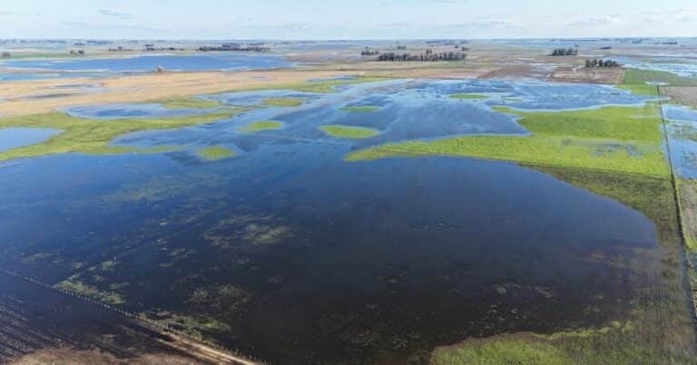Inundaciones en PBA: tras los anuncios del Gobierno, la Mesa de Enlace pidió soluciones integrales