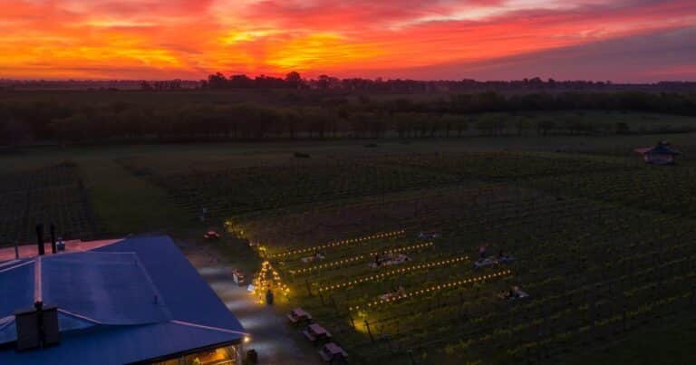Se viene el vino más austral del mundo: inversores argentinos lanzan una bodega en Ushuaia