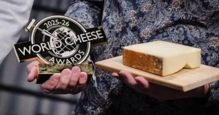 Eligieron el mejor queso del mundo: un gruyer suizo