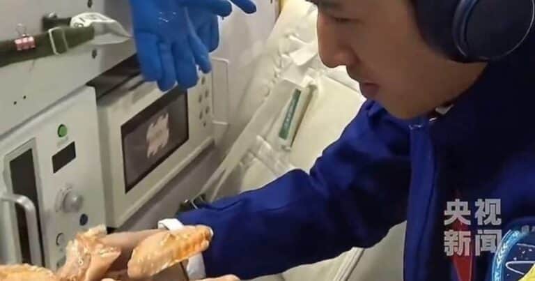 Por primera vez en la historia asaron un pollo en el espacio