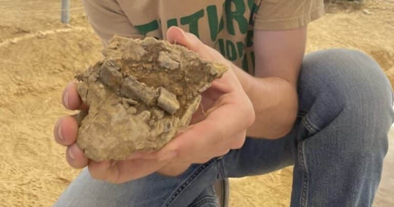 Un adolescente descubrió restos de un dinosaurio de 150 millones de años durante un proyecto escolar: «Estaba muy emocionado»