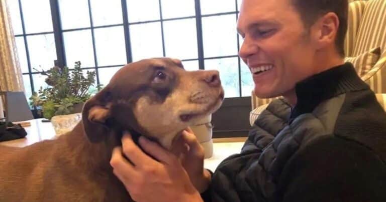 La leyenda de la NFL Tom Brady revela que clonó a su perra: «Es una segunda oportunidad»