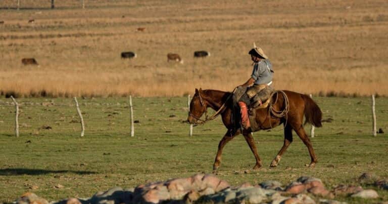 Reforma laboral integral: que el campo no quede fuera de la agenda