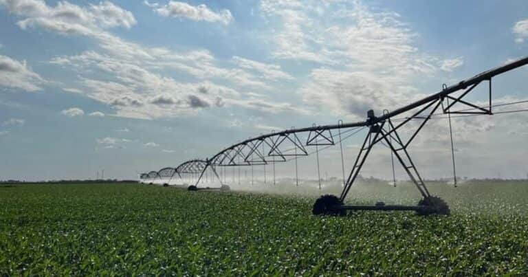 «Efecto positivo»: el gobierno incluyó un régimen de incentivo a las inversiones para el campo en la reforma laboral
