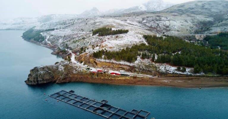 Tierra del Fuego avanza en su diversificación: una nueva ley habilita el cultivo de salmón y trucha como en Noruega e Islandia