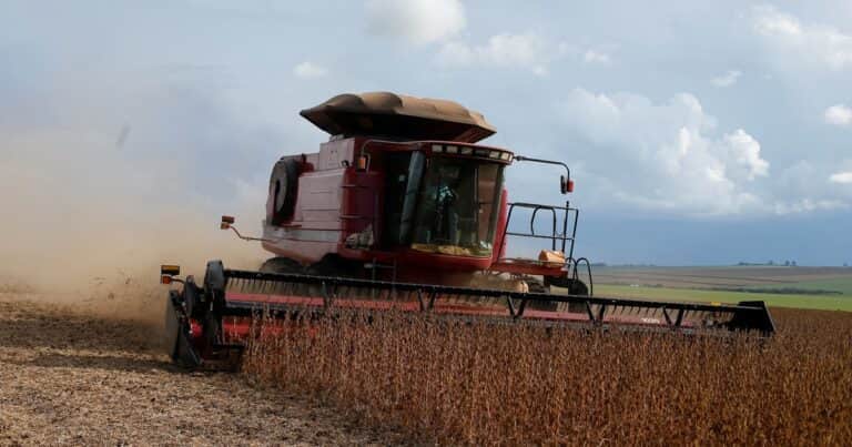 Brasil, imparable: vuelven a aumentar la estimación de producción de soja a 180 millones de toneladas, el volumen más grande de la historia