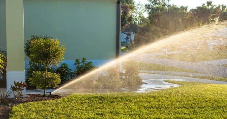 Cómo evitar que el pasto se ponga amarillo: claves para mantenerlo verde en verano