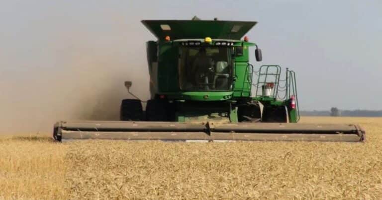 Las tres E de la “agricultura liviana”: elegancia, eficiencia y ecología