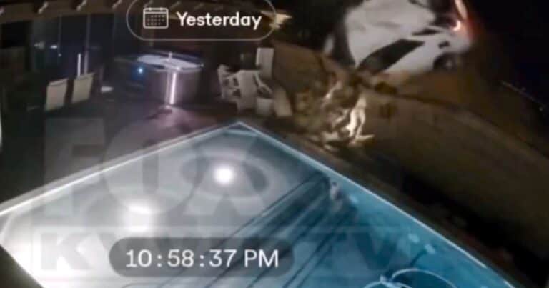 El video de un choque a toda velocidad y el milagro que salvó a la conductora: el rol clave de la piscina