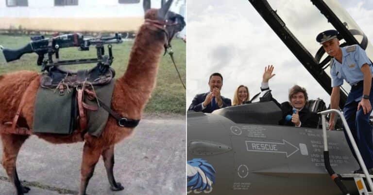 Santilli celebró la llegada de los F-16 con un irónico mensaje contra el kirchnerismo: «Pasamos de incorporar llamas metralletas a aviones de combate»