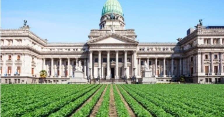 La agroindustria pide no quedar afuera de los incentivos