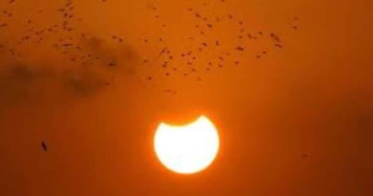 El cielo en el 2026: se vienen cuatro eclipses y un Sol inquieto