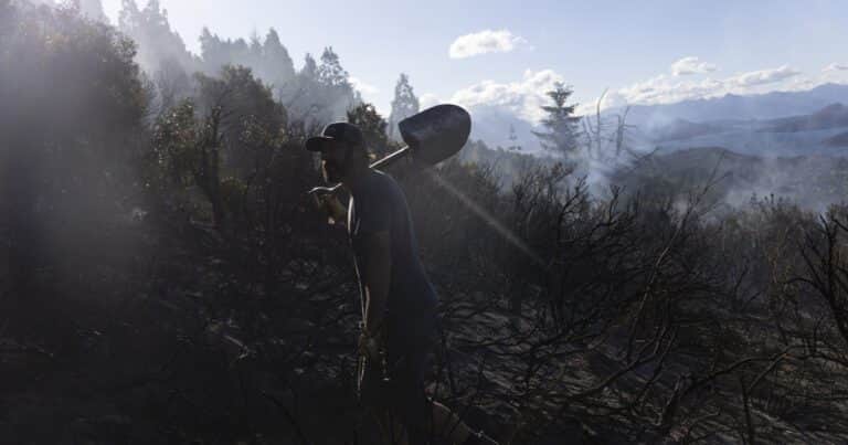 Las olas de calor cada vez más intensas han convertido los lagos amazónicos en ‘spas’ de 41ºC
