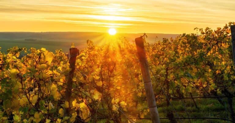 Solsticio de verano este 21 de diciembre: qué significa y por qué es el día más largo del año