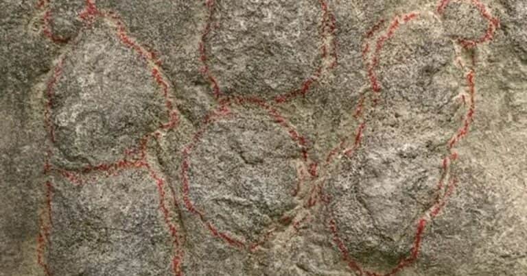 Colocaron un camino de piedra en su casa y décadas después descubrieron que tenía huellas de dinosaurio de al menos 180 millones de años