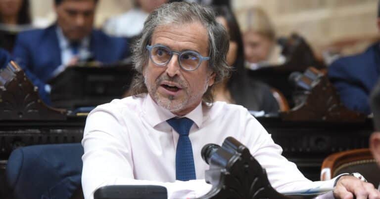 «El que pretende carrera política fuera del plan de Milei es un desagradecido y un imbécil», el contundente mensaje de Bertie Benegas Lynch que agita la interna libertaria