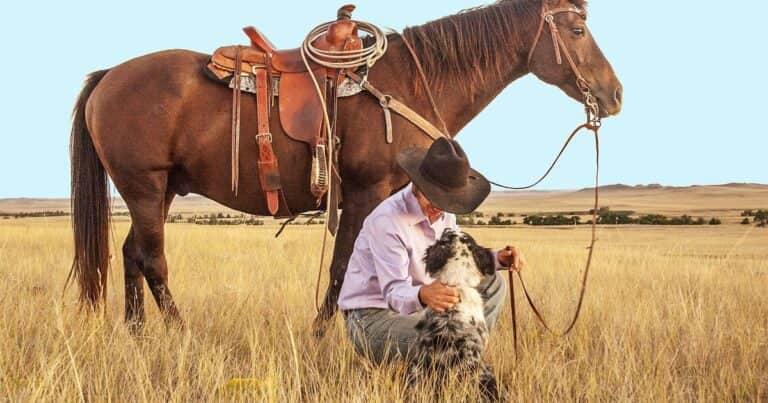 Día Internacional de los Derechos de los Animales: por qué se conmemora el 10 de diciembre