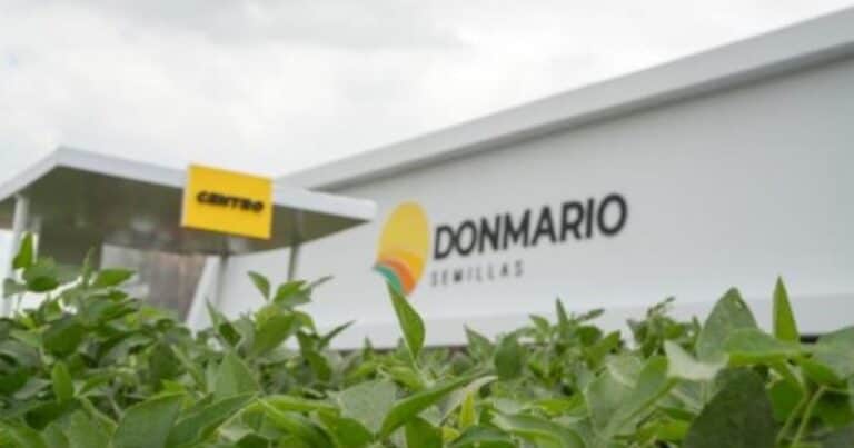 Soja de segunda: un semillero marca el camino de variedades y manejo para cada región