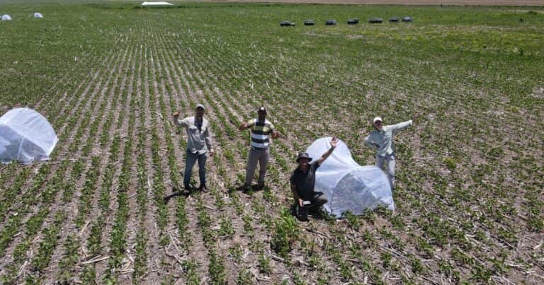 El Gobierno anunció una nueva baja de retenciones al campo