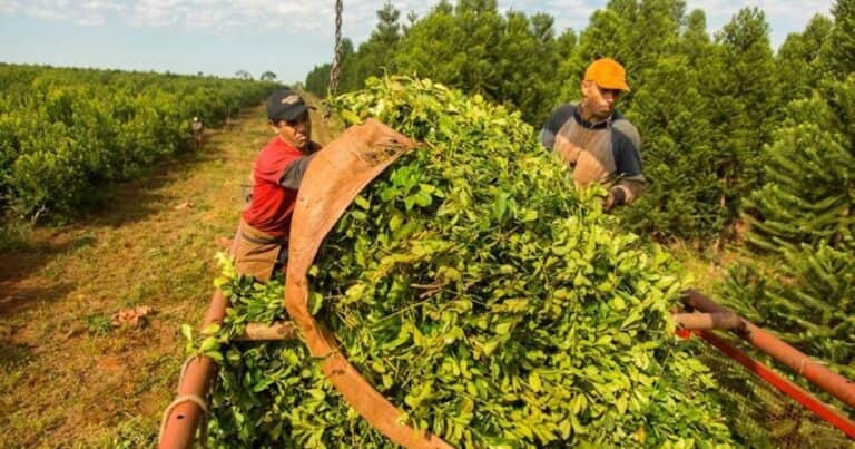Reforma laboral: una entidad del campo presentó sus propuestas