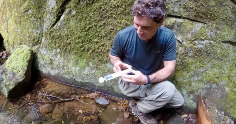 Despiertan microbios de 40.000 años que empiezan a “comerse” el carbono del hielo