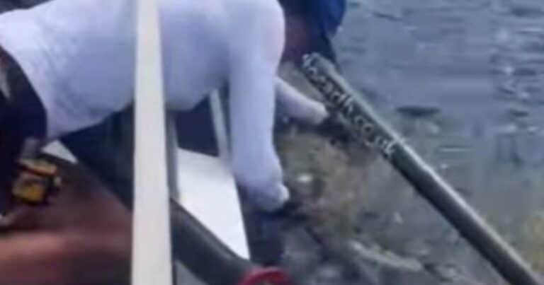 Cruzaban el Atlántico y vieron a un animal marino en problemas: «Tuvieron suerte de estar ahí para salvarlo»