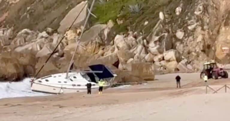 Un yate fue embestido por un grupo de orcas en Portugal y una familia tuvo que ser rescatada antes del naufragio