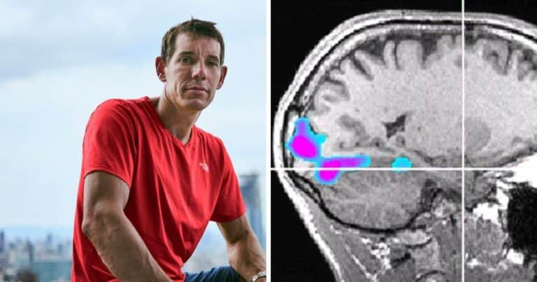 El estudio del cerebro de Alex Honnold que explica por qué el escalador “no experimenta miedo» a la altura