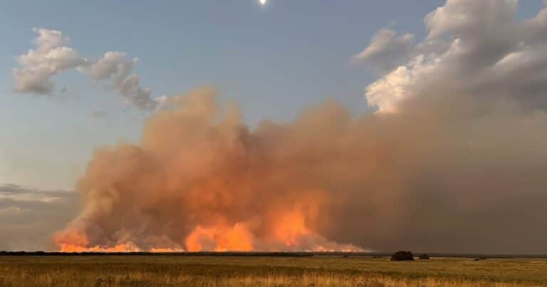 Desesperante caso de un productor pampeano: en solo tres horas, el fuego devoró casi las 6.000 hectáreas que tiene su campo