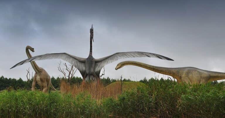 Huellas, IA y evolución: un hallazgo podría revelar algo inesperado sobre el origen de las aves y los dinosaurios