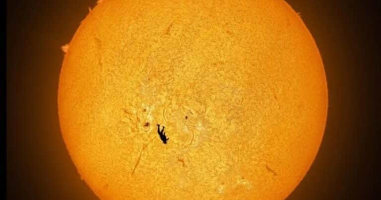 Fotografiaron a un paracaidista cayendo delante del Sol