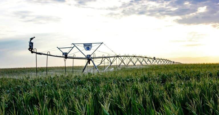 Un acuerdo que transforma el riego inteligente para el agricultor argentino