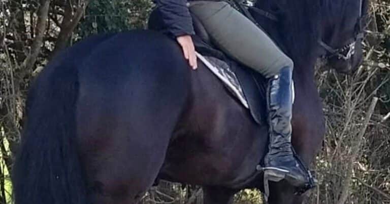 En un operativo nocturno, Toviggino sacó los caballos de la mansión de Pilar para llevarlos a la casona de un jefe del PJ