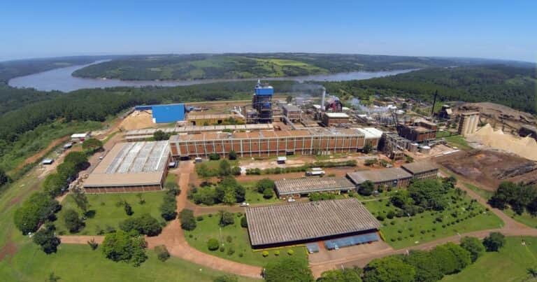 La fábrica de envases de papel que exporta de Misiones a 40 países