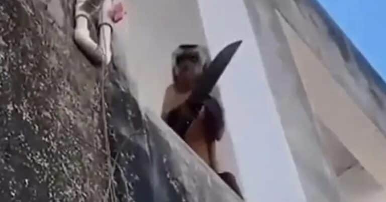 Un mono armado con cuchillo fue detenido por robo y llevado a una comisaría