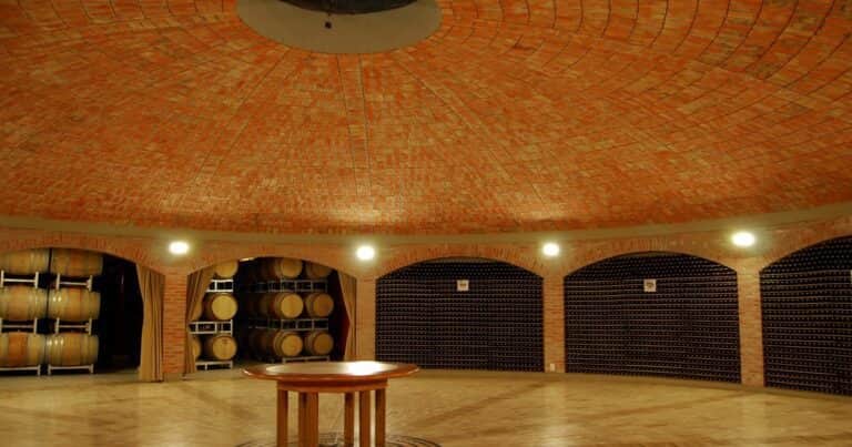 Tras el caso Norton, otra bodega histórica enfrenta una deuda millonaria y busca evitar el concurso