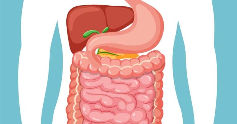 Tumor del estroma gastrointestinal: qué es y cómo vivir con esta rara enfermedad