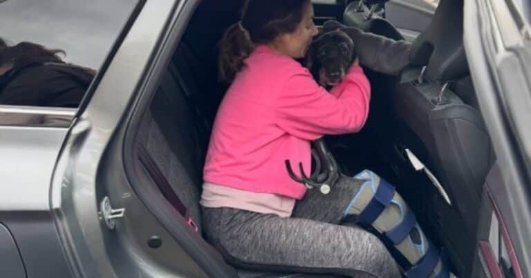 El emotivo reencuentro de una familia con Boro, el perro que viajaba en uno de los trenes que chocaron en España