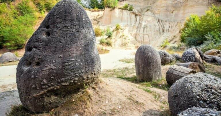 El misterio inexplicable de las piedras vivas: crecen, se reproducen y respiran