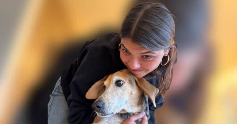 La encontraron muerta rodeada de perros dingos y ahora la autopsia reveló un dato escalofriante