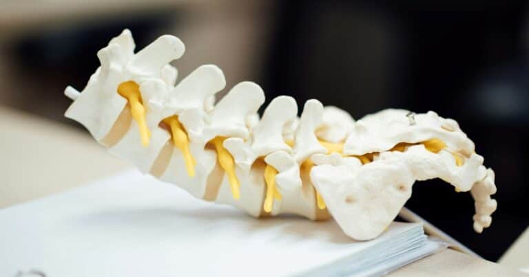 ¿Cómo regenerar los discos intervertebrales para tratar la lumbalgia?