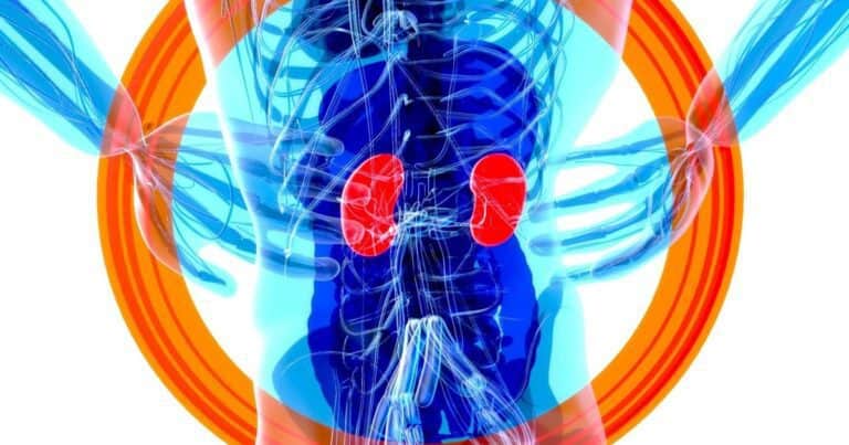 ¿Qué tratamientos existen para la Enfermedad Renal Crónica?