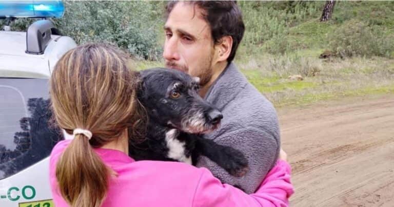 Encontraron a Boro, el perro perdido tras el accidente de trenes en España
