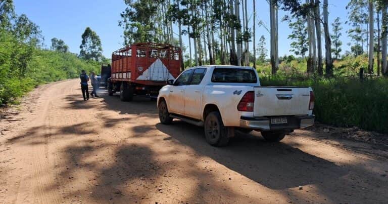 Insólito: un fiscal tardó 30 horas en solicitar una orden de allanamiento por un caso de abigeato y en Corrientes estalló la bronca