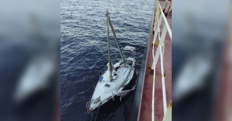 Milagro en el mar Mediterráneo: zarpó en velero para un viaje de 150 km, estuvo 12 días a la deriva y lo rescataron frente a Argelia