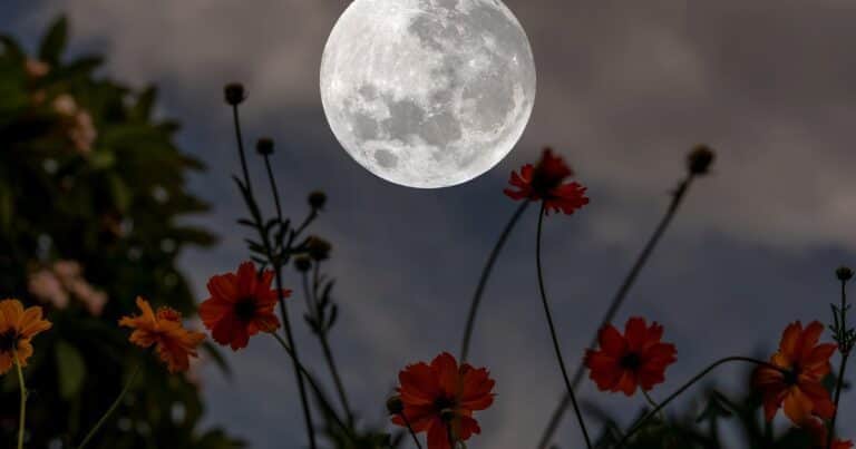 Cuándo es la luna llena de febrero 2026