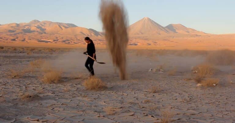 Hallazgo histórico bajo el desierto: descubren una comunidad de seres vivos en un país de América Latina