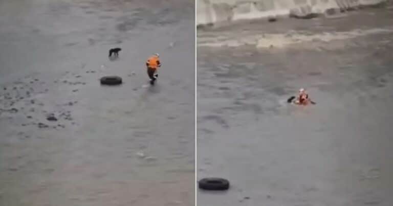 Un rescatista quiso salvar a un perro y murió junto al can arrastrados por el río